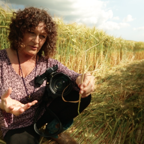 #7 Patty Greer – Crop Circle Film Maker