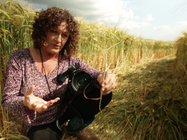 #7 Patty Greer – Crop Circle Film Maker
